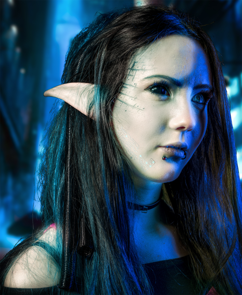 Hacker Elf