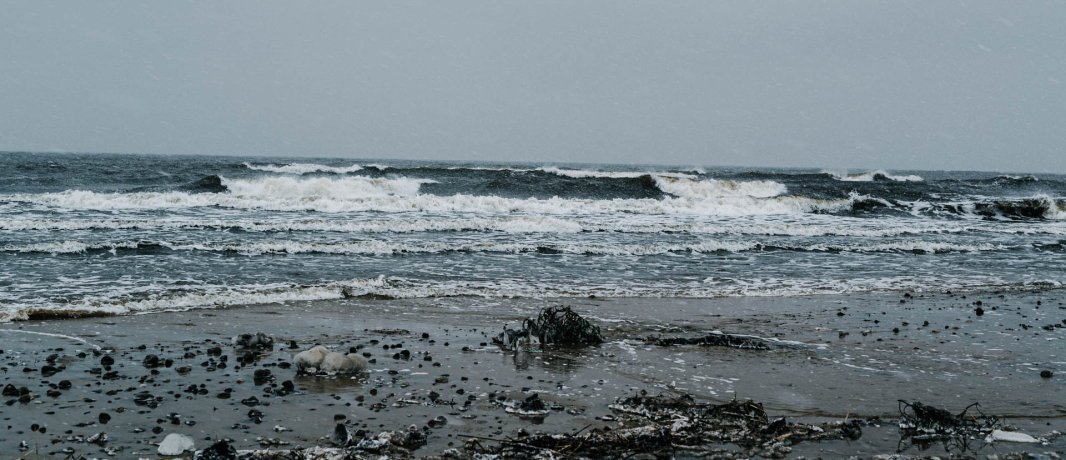 Intense Winter Waves